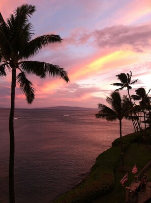 On the beach - Welcome to our luxury one bedroom Eco-Friendly Honeymoon Suite condo. (wailuku)