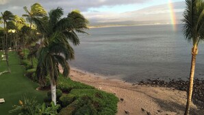 Une plage bordée de palmiers, une zone herbeuse et une vue sur l’océan.