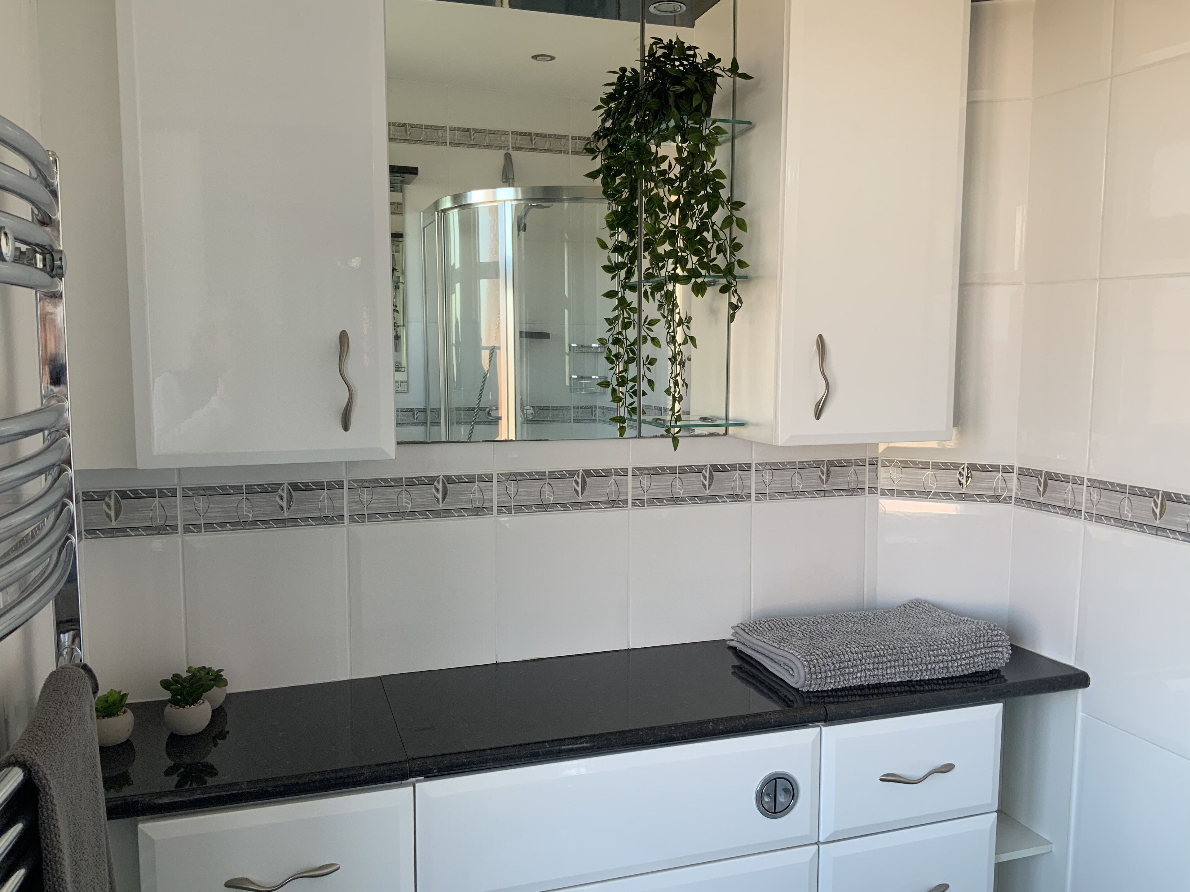 A bathroom with a black countertop, white cabinets, a glass shower enclosure, and a hanging plant.