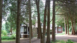Un chalet rustique entouré de grands arbres, situé dans une zone boisée.