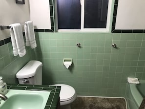 Combined shower/tub, hair dryer, towels, soap