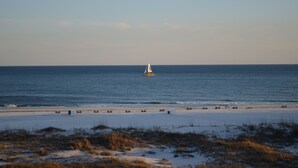 Een strand met een zeilboot in de verte, zandstrand en schaarse begroeiing.