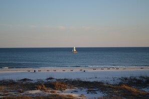 On the beach, sun-loungers