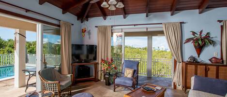 Smart-TV, DVD-Player, Bücher, Stereoanlage