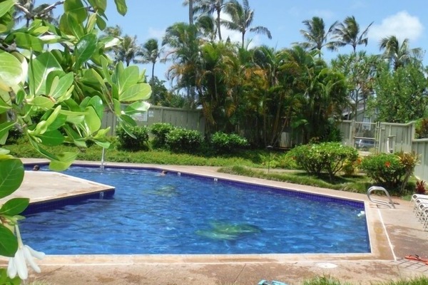 Relaxing Pool Just Steps Away- BBQ and Lounge Chairs Are Yours To Enjoy