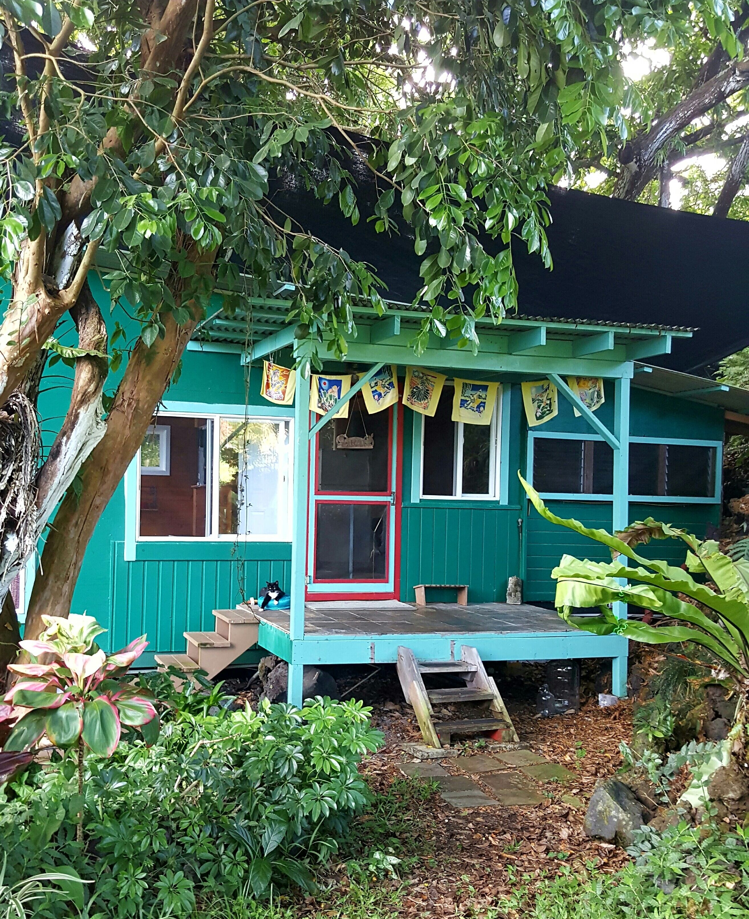 A small, turquoise wooden structure with a red door and windows, surrounded by lush greenery and a tree.