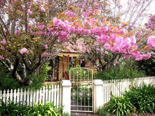 Millie's Holmcroft Cottage-7 min walk Leura Character/Convenient-Quiet