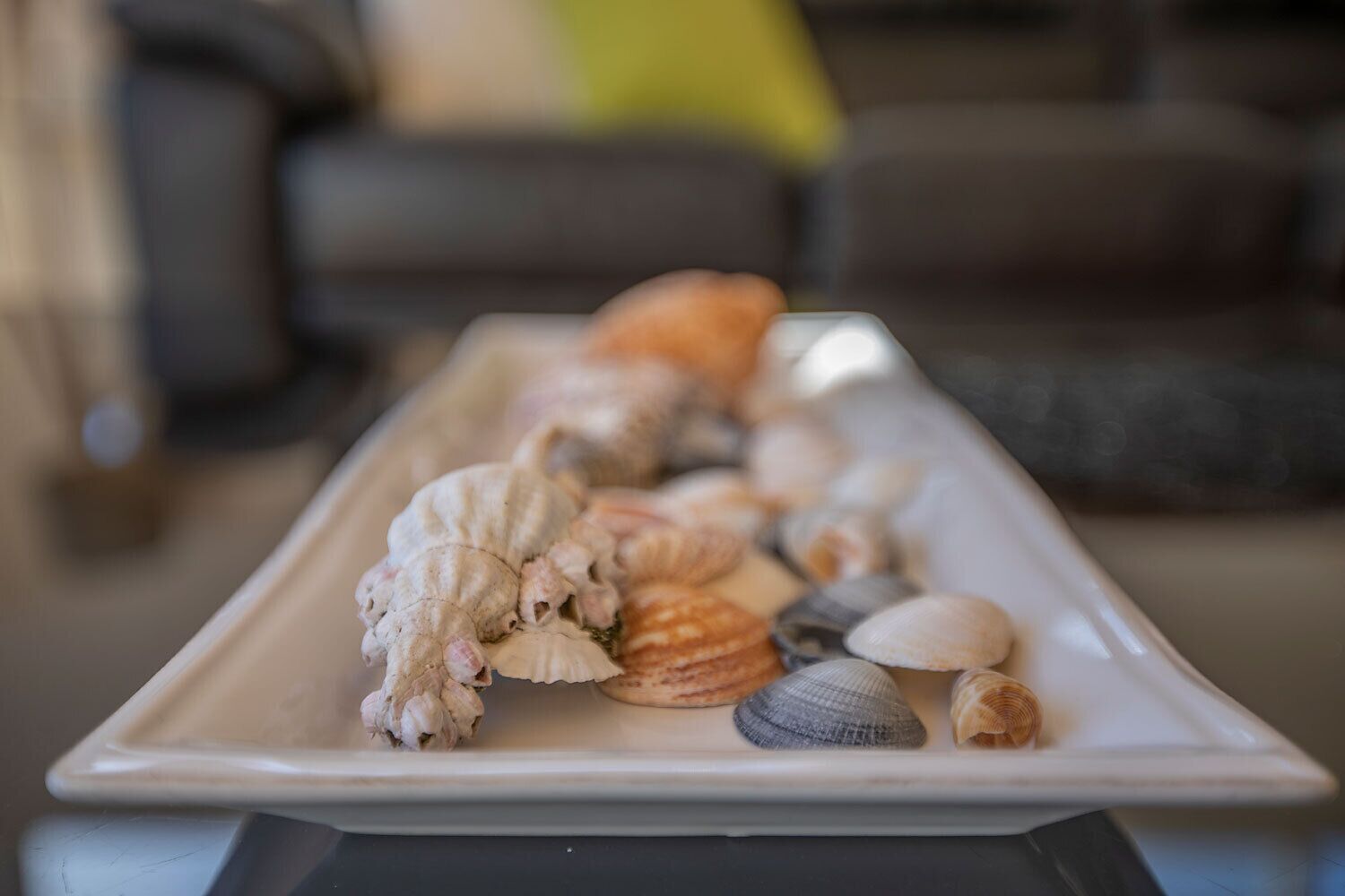 Quarterdeck Apartment — image 13