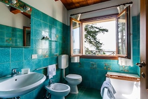 Jetted bath, rainfall showerhead, hair dryer, bidet