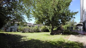 A courtyard with a large tree, a rock, and a building with a white facade and red roof.