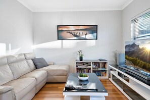 TV, Netflix, DVD player, books