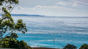 A coastal view with a clear sky, a body of water, and distant landforms.