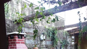A brick outdoor oven, a round table, and a rustic setting with vines and a stone wall. - Two-story house - Furnas Lake - Guapé/MG (Neighboring Capitólio) (Guapé)