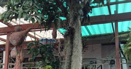 Alquiler Vacacional Casa Finca Campestre vertraute Cerca BogotĂĄ Klima Templado