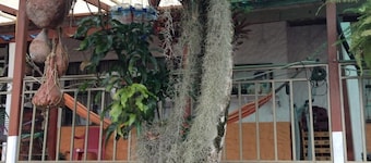 Alquiler Vacacional Casa Finca Campestre vertraute Cerca Bogotá Klima Templado