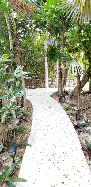 Stroll through the serene garden, surrounded by lush greenery and tranquil ambiance.