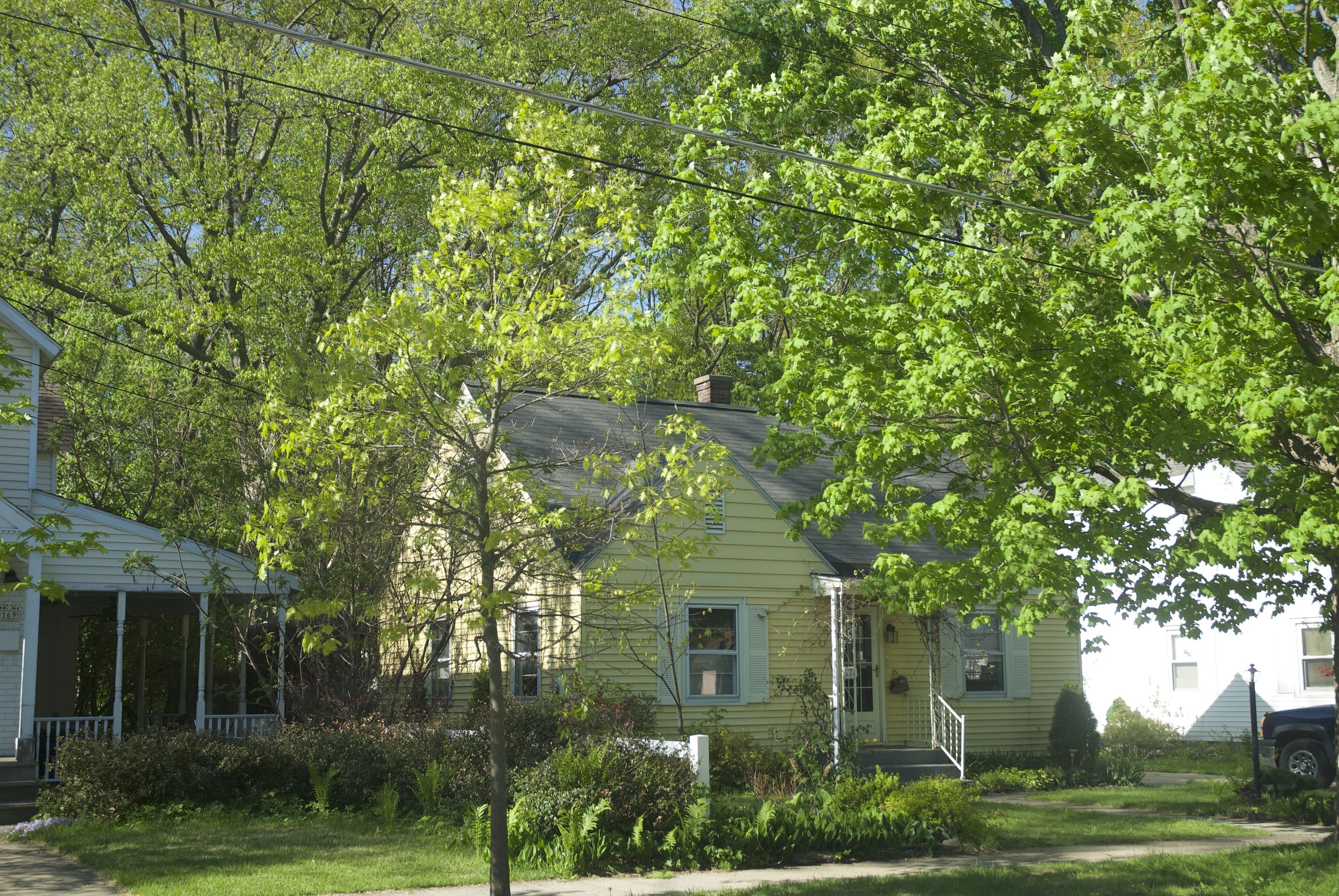 Track Rental - Charming In-Town Eastside Cape