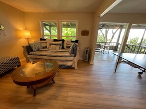 Smart TV, fireplace, video game console, DVD player