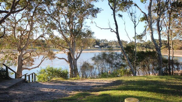 Vista de un lago con árboles, un muelle y una zona cubierta de c ésped.