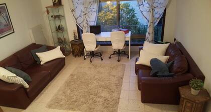 Charming Townhouse w/ View of Temple Mount.  20% DISCOUNT for 28+ night stay.