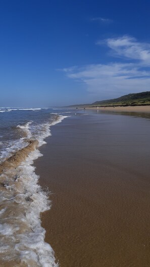 On the beach, sun-loungers - Seagrass - walk to beach sunsets, starry nights (Venus Bay)