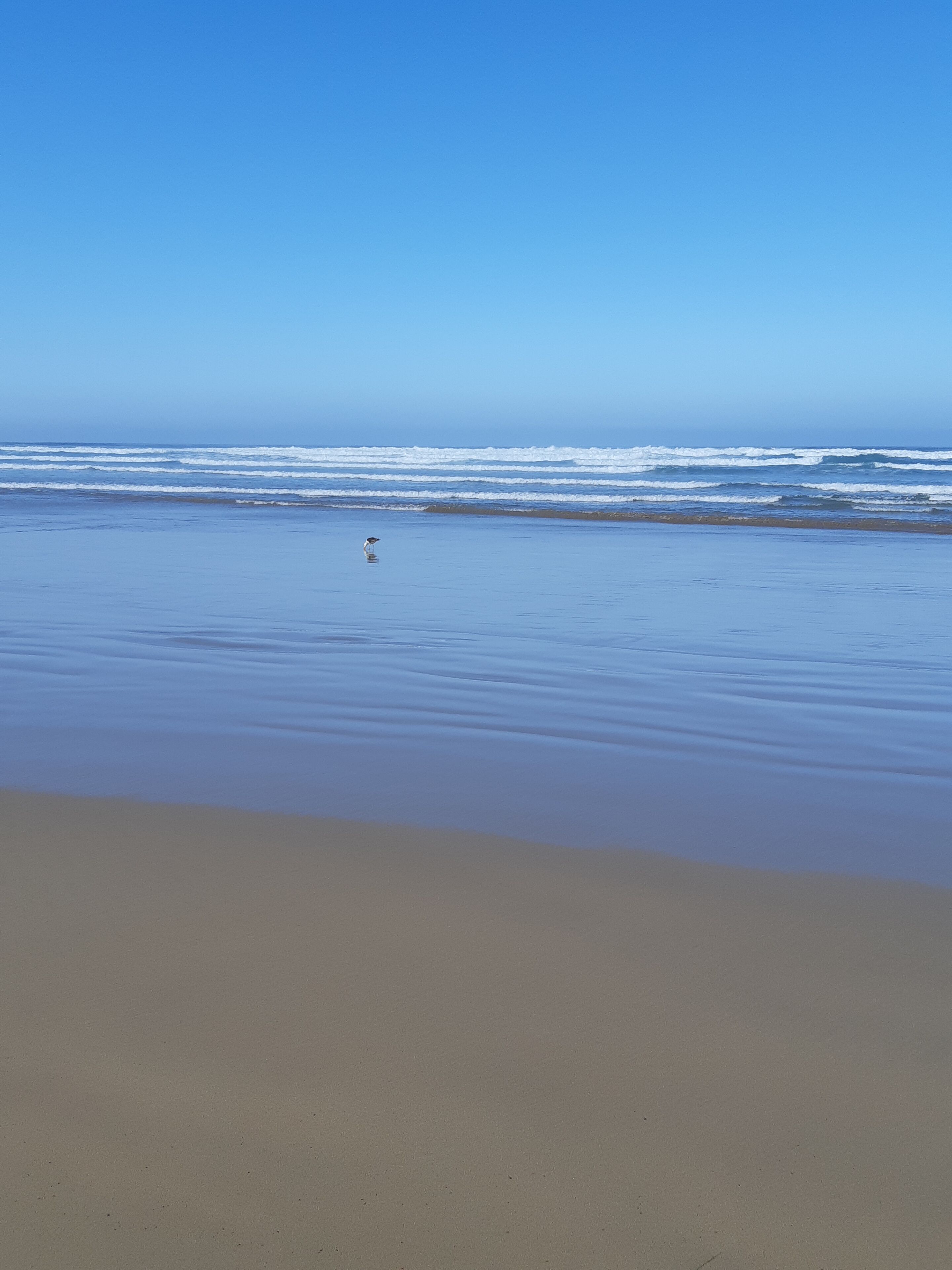 On the beach, sun loungers