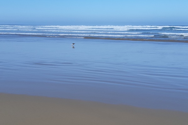 On the beach, sun loungers