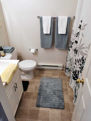 Duschwanne, Haartrockner, Handtücher, Toilettenpapier