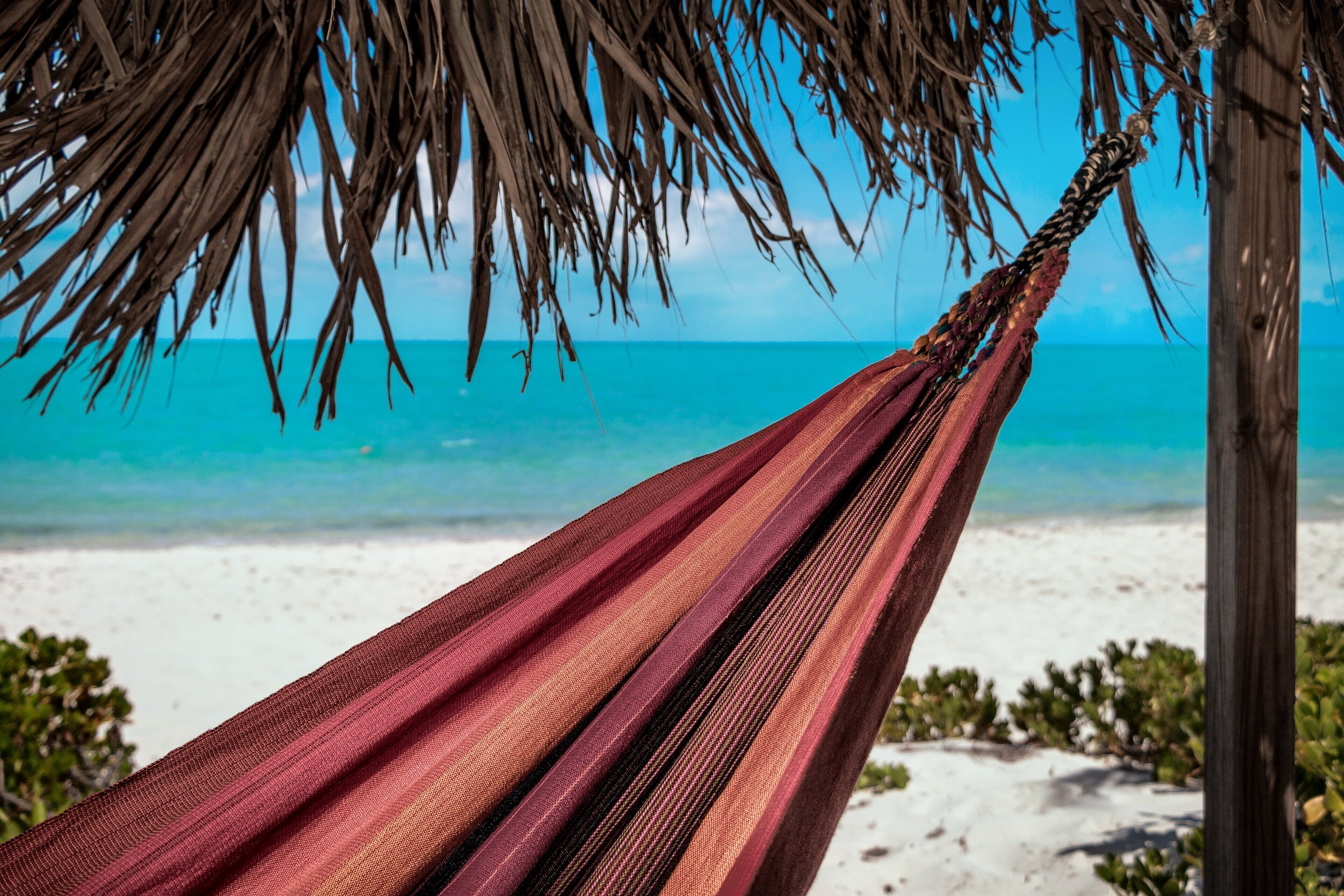 A hammock on a beach with a clear view of the ocean.