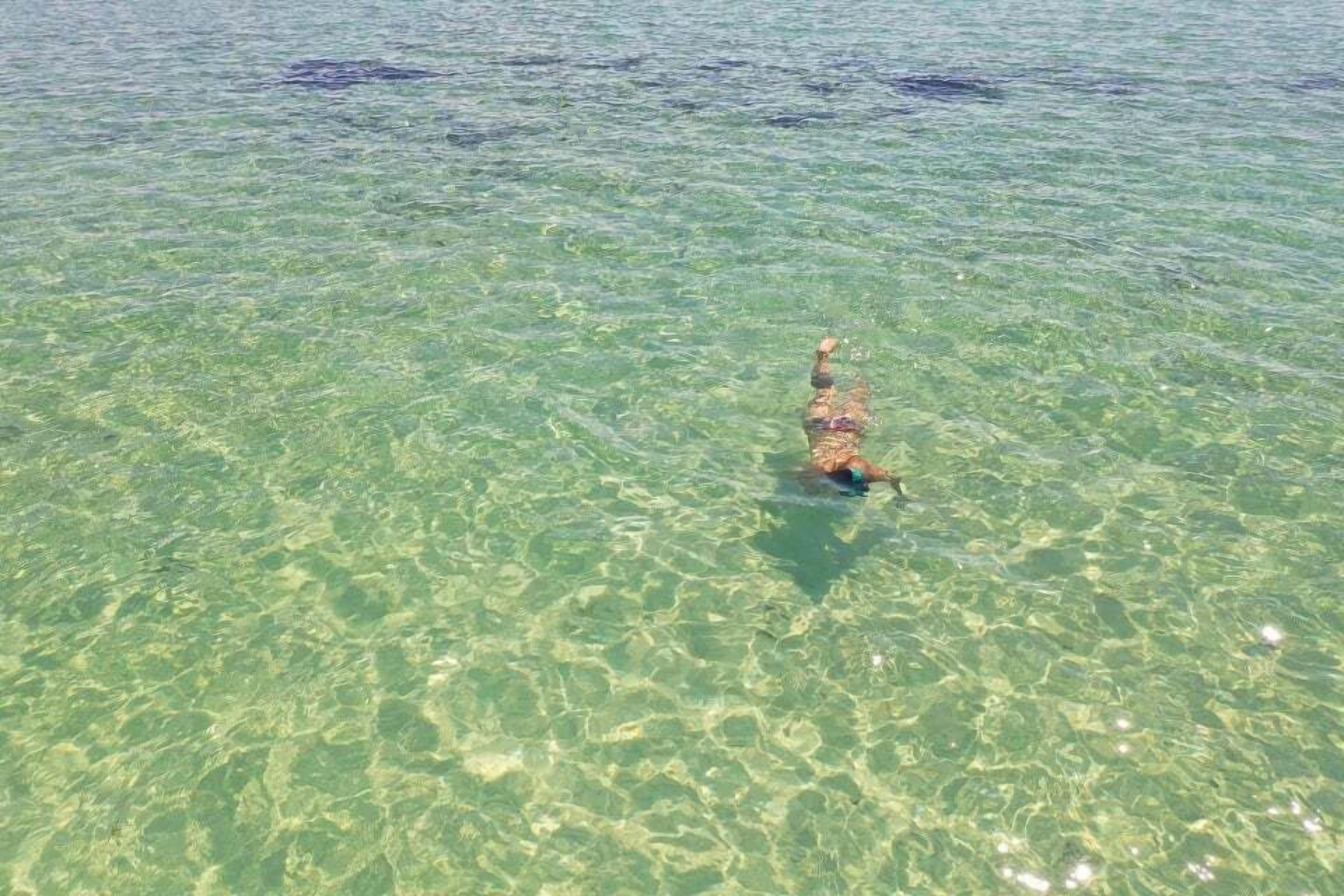 A person swimming in clear, shallow water.