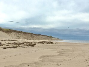 Chaises longues, serviettes de plage