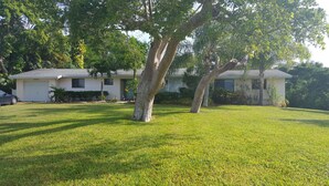 A single-story house with a well-maintained lawn and a tree in front.