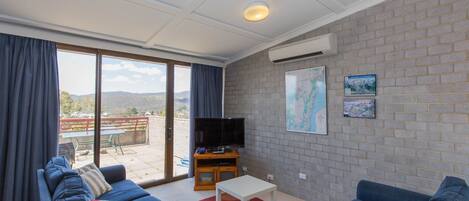 Flat-screen TV