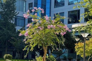 View from property - Zhuyuan Hotel (Chenzhou Suxianling) (Chenzhou)