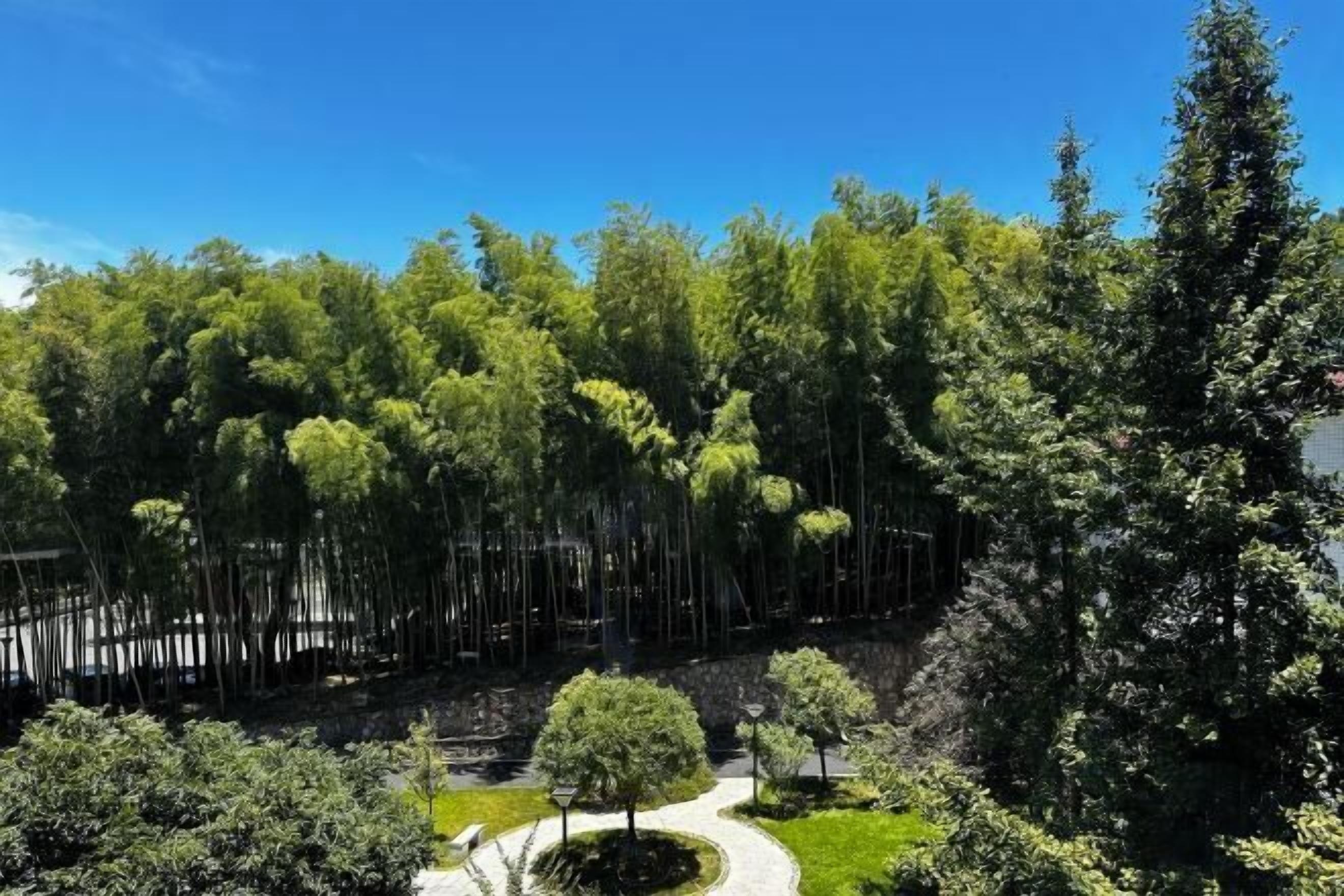 A landscaped area with a curved pathway, trees, and a stone wall.