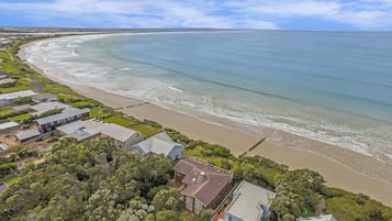 Enjoy a serene beachfront setting with a long pier and lush greenery.