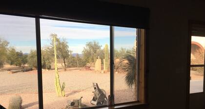 Guesthouse, with quail, cactus, & desert.
