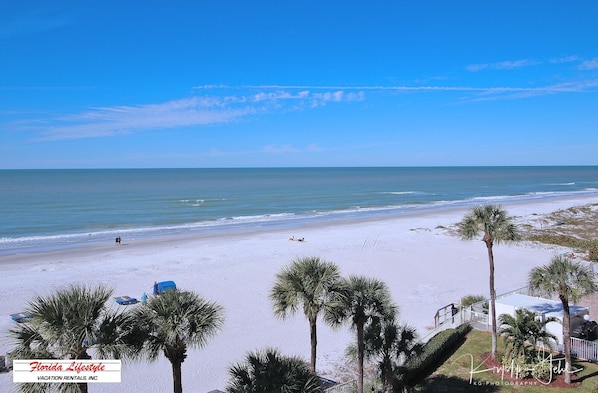 A beach with white sand, palm trees, and a clear blue sky.