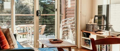 Smart TV, DVD player, books