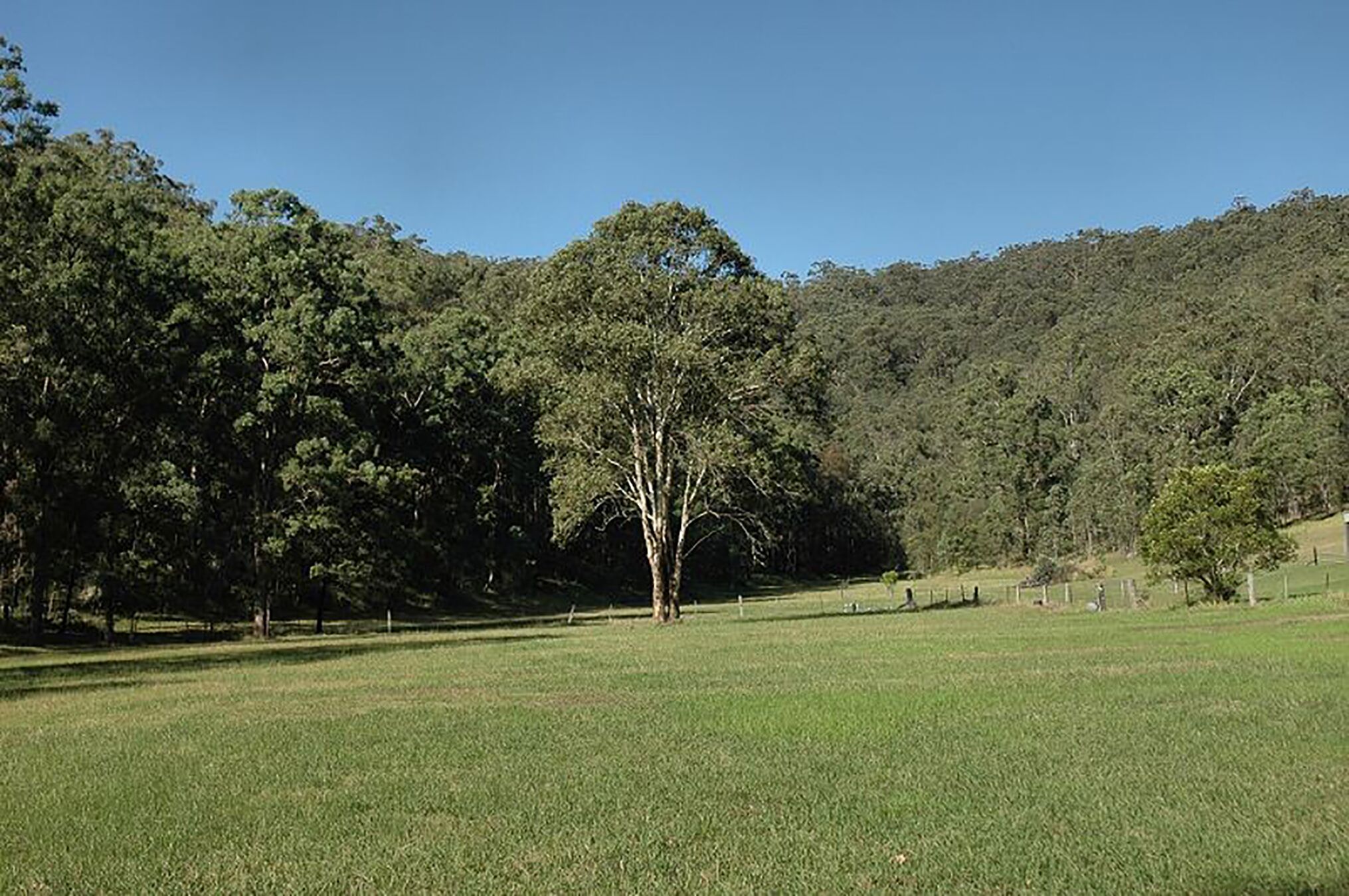 Luxury self-contained homestead and a farm full of beauty and adventure — image 29