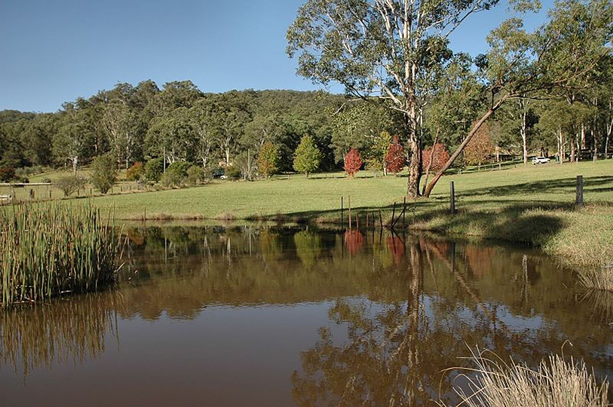 Luxury self-contained homestead and a farm full of beauty and adventure — image 30