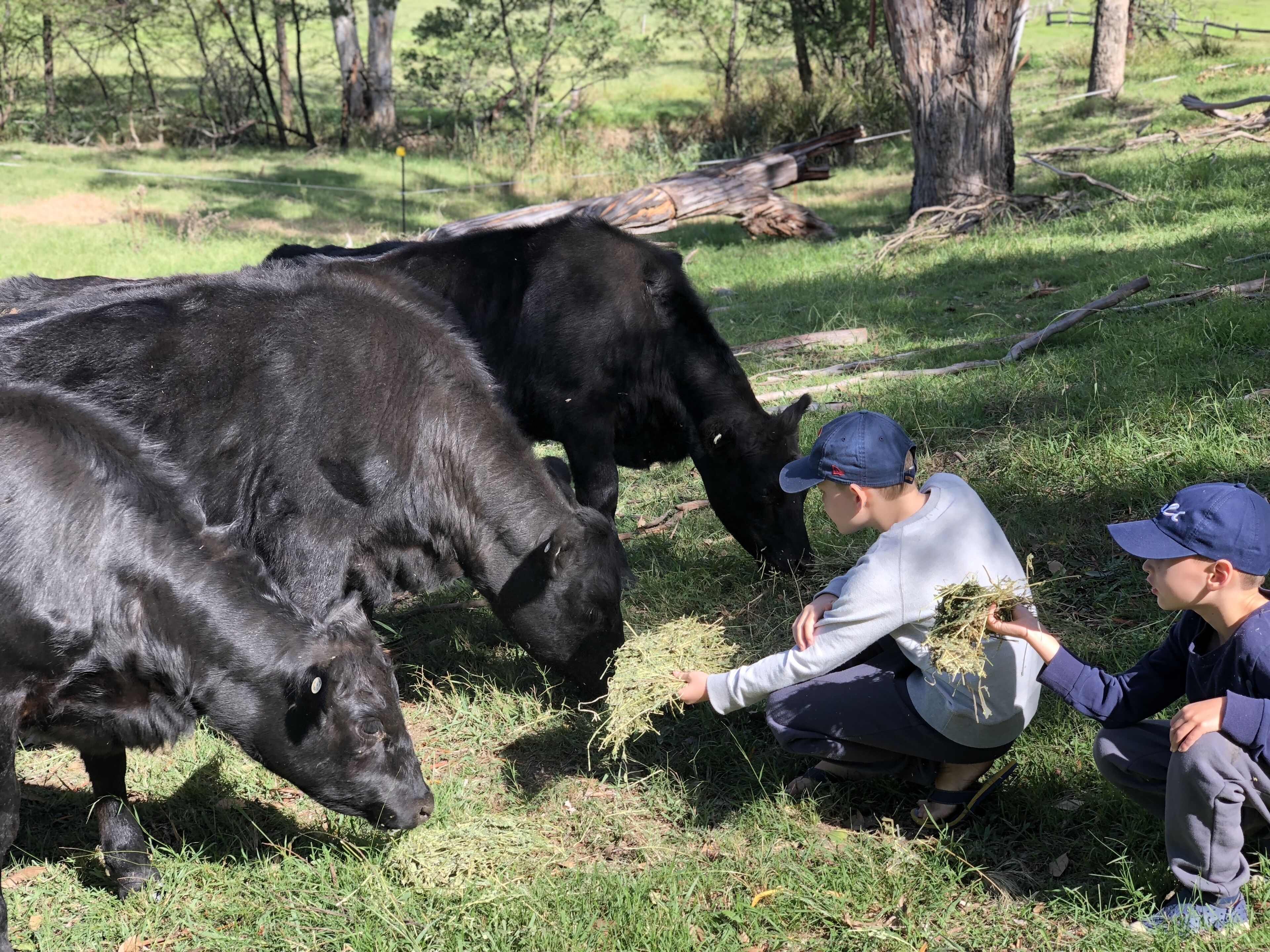 Luxury self-contained homestead and a farm full of beauty and adventure — image 18