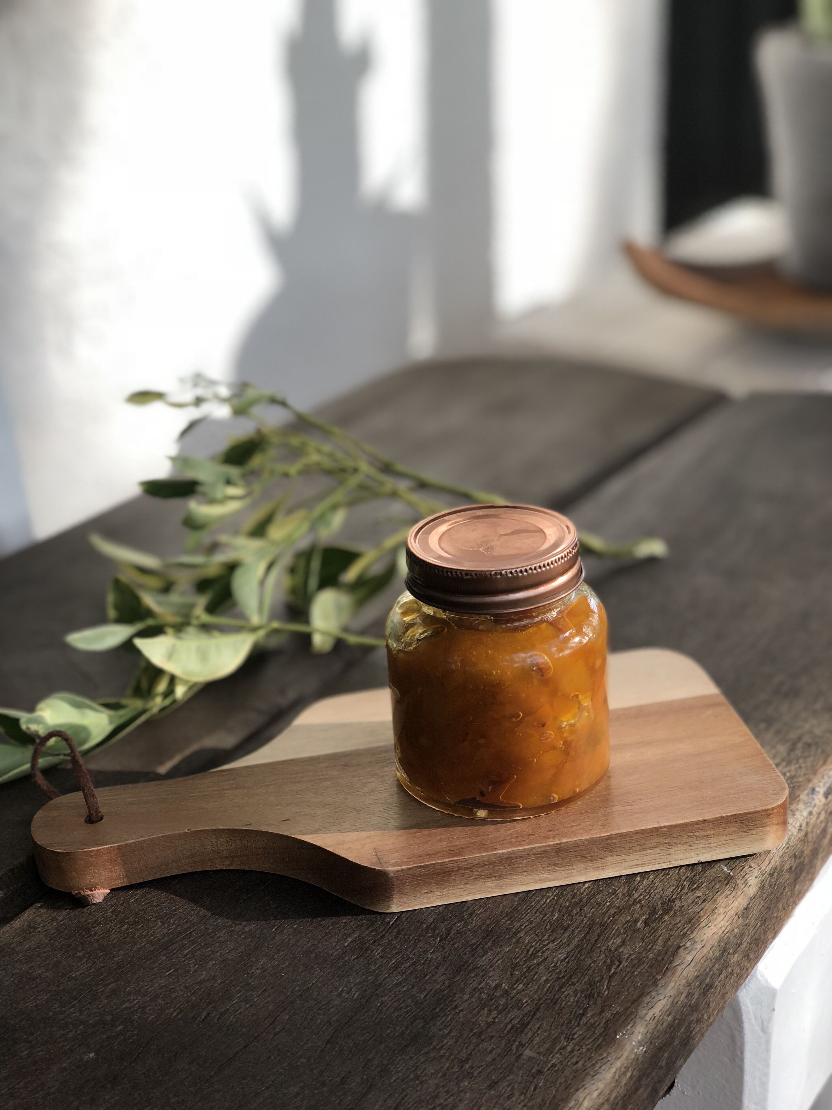 Luxury self-contained homestead and a farm full of beauty and adventure — image 13