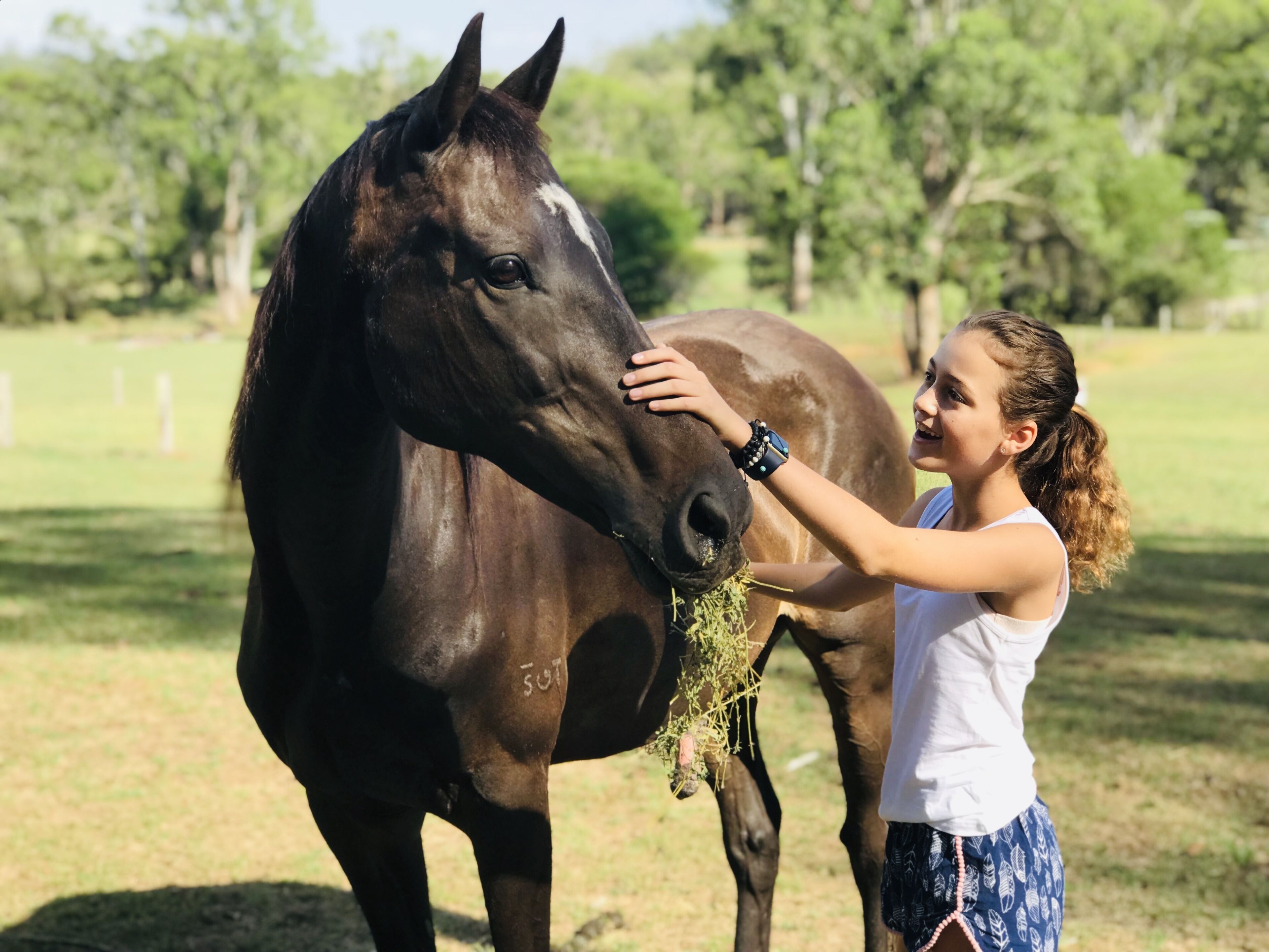 Luxury self-contained homestead and a farm full of beauty and adventure — image 28