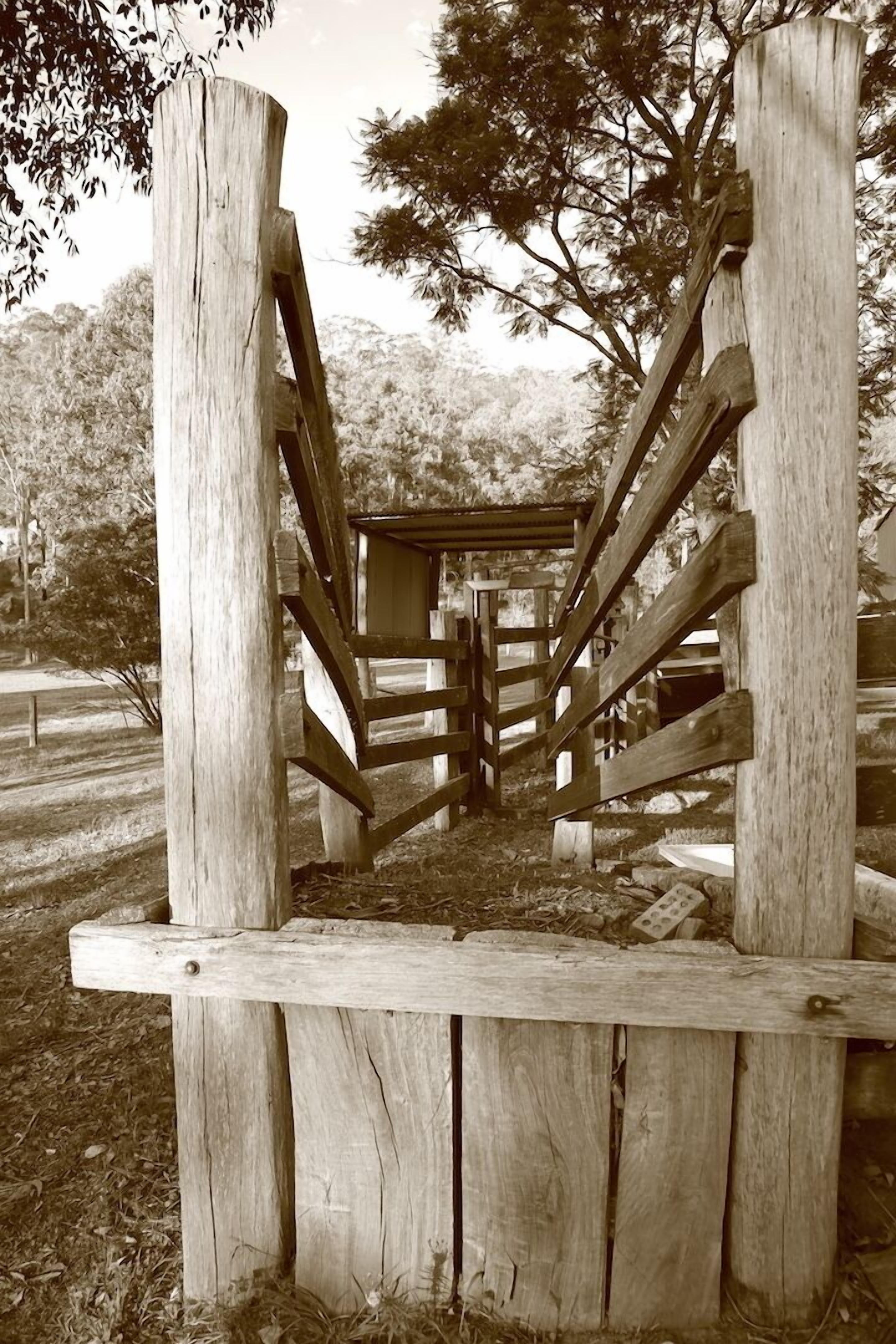 Luxury self-contained homestead and a farm full of beauty and adventure — image 3