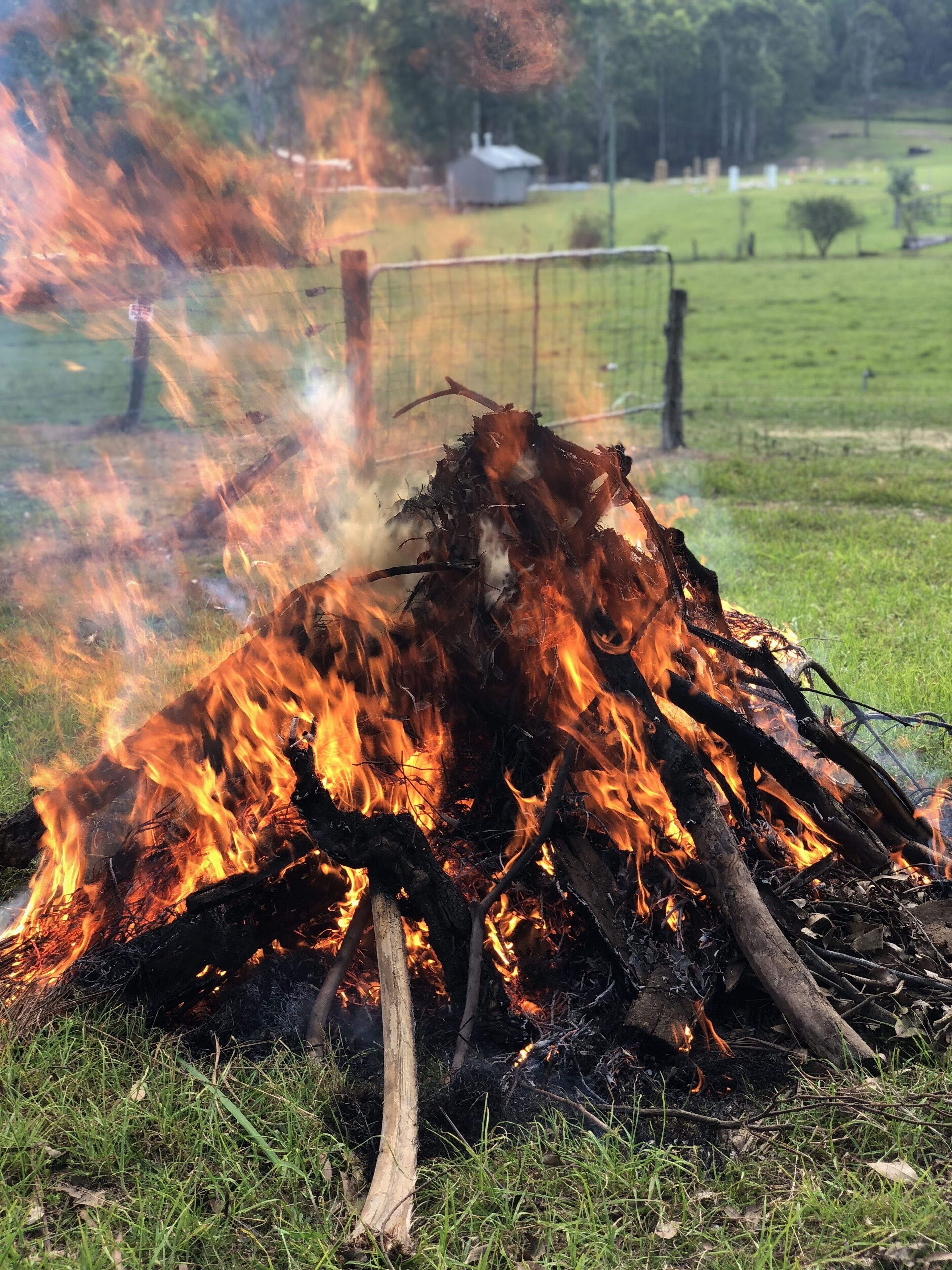 Luxury self-contained homestead and a farm full of beauty and adventure — image 22