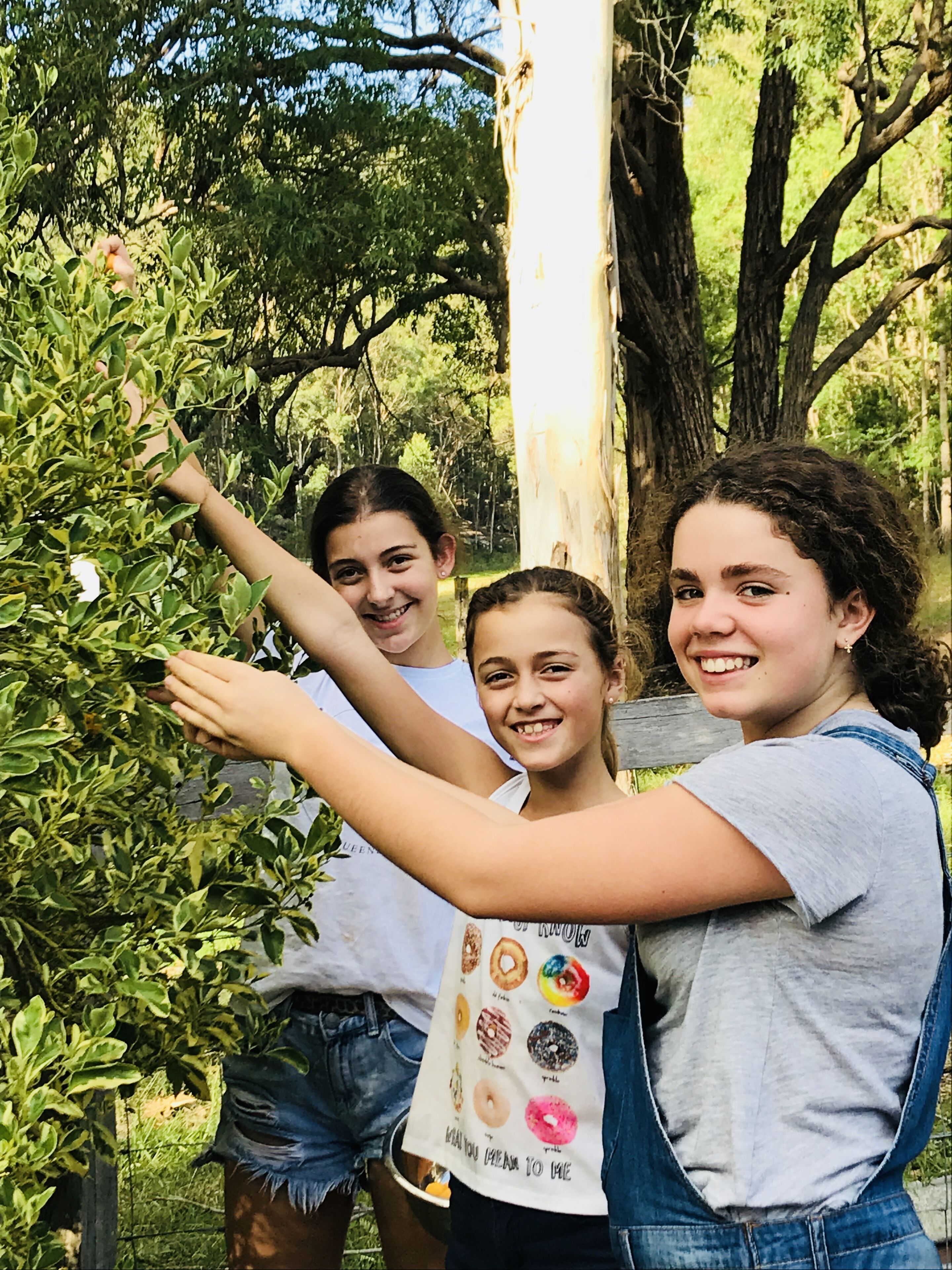 Luxury self-contained homestead and a farm full of beauty and adventure — image 5