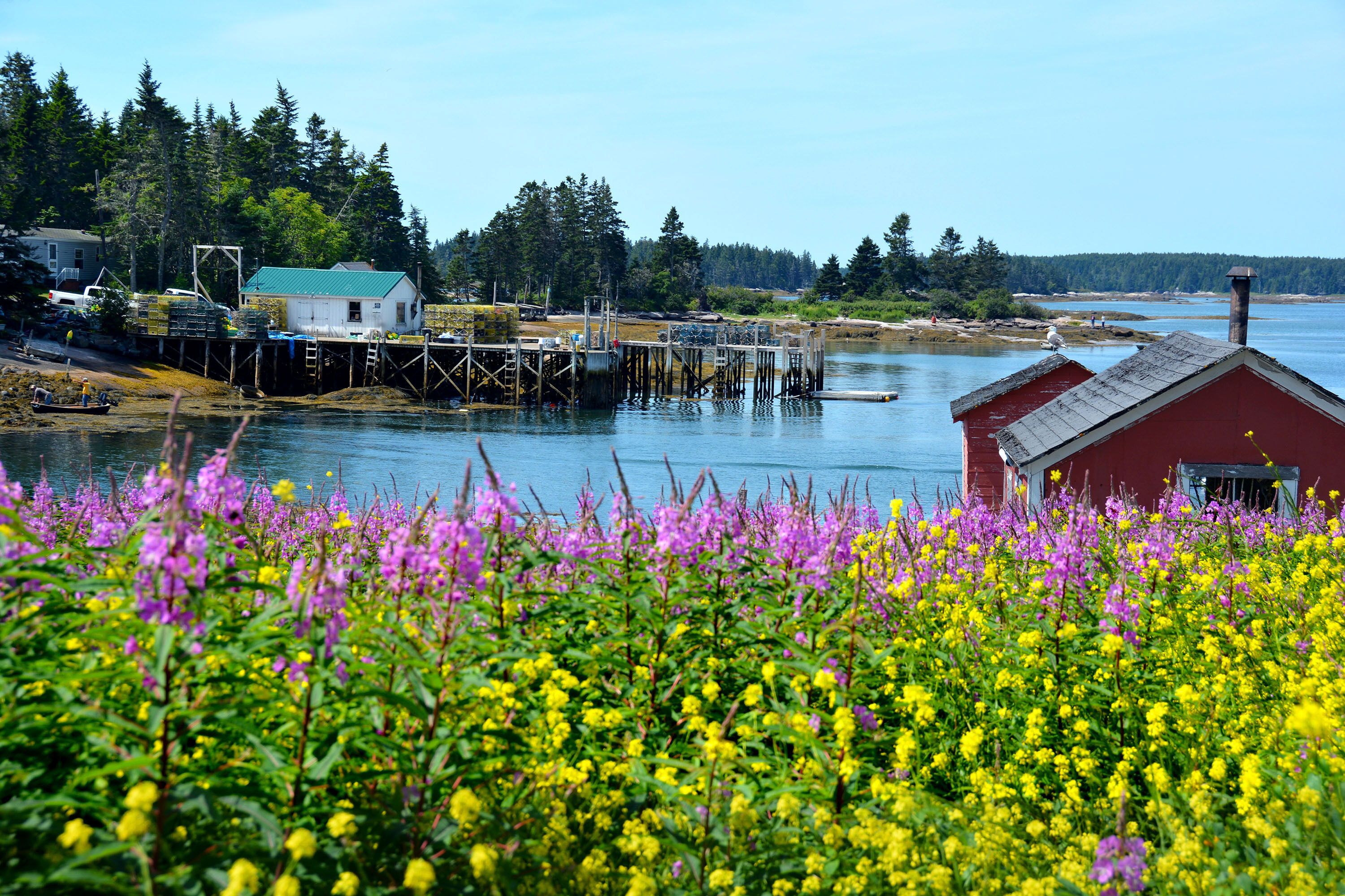 En ejendom ved vandet med en bro, en rød bygning og et florafelt med gule og lilla blomster.