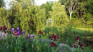 A garden with purple and red flowers, a pond, and a gazebo. - Country home 5 bdrs, 6 baths, yoga/art studio, large garden near wineries +beach (Consecon)