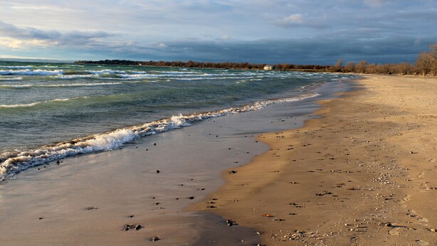 A beach with waves, a sandy shore, and a distant shoreline with trees. - Country home 5 bdrs, 6 baths, yoga/art studio, large garden near wineries +beach (Consecon)
